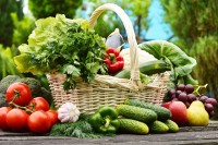 20483486 - fresh organic vegetables in wicker basket in the garden